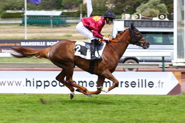 Photo d'arrivée de la course pmu PRIX KAID POUS à MARSEILLE BORELY le Lundi 18 mai 2026