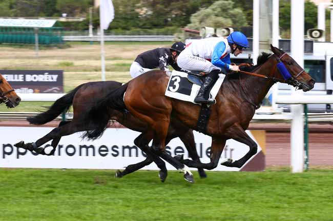 Photo d'arrivée de la course pmu PRIX DE VITROLLES à MARSEILLE BORELY le Lundi 18 mai 2026