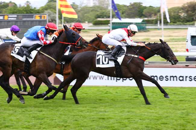 Photo d'arrivée de la course pmu PRIX DE LA COURONNE à MARSEILLE BORELY le Lundi 18 mai 2026