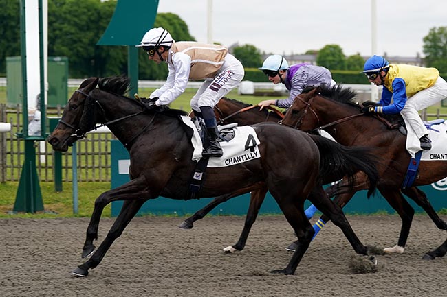 Photo d'arrivée de la course pmu PRIX DES CARRIERES à CHANTILLY le Mardi 19 mai 2026