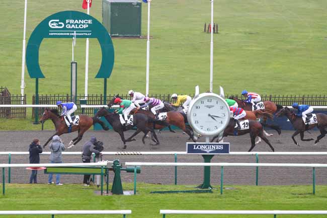 Photo d'arrivée de la course pmu PRIX BOIS DU GUEY à CHANTILLY le Mardi 19 mai 2026
