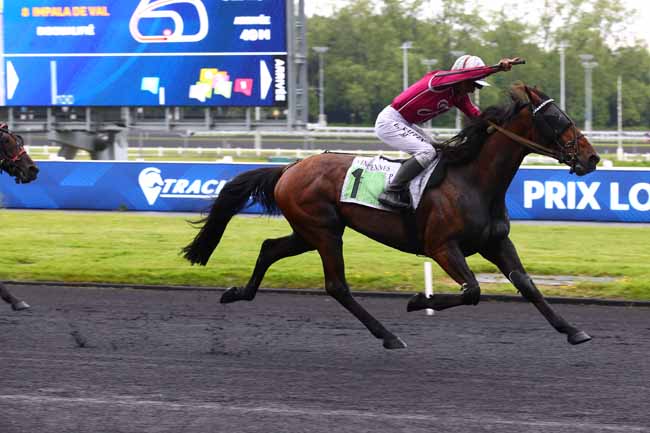 Photo d'arrivée de la course pmu PRIX LOUIS SAUVE à PARIS-VINCENNES le Mardi 19 mai 2026