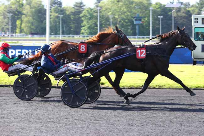 Photo d'arrivée de la course pmu PRIX MARCEL PERLBARG à PARIS-VINCENNES le Mardi 19 mai 2026