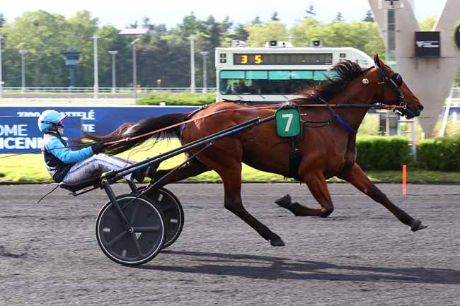 Photo d'arrivée de la course pmu PRIX CORONIS à PARIS-VINCENNES le Mardi 19 mai 2026