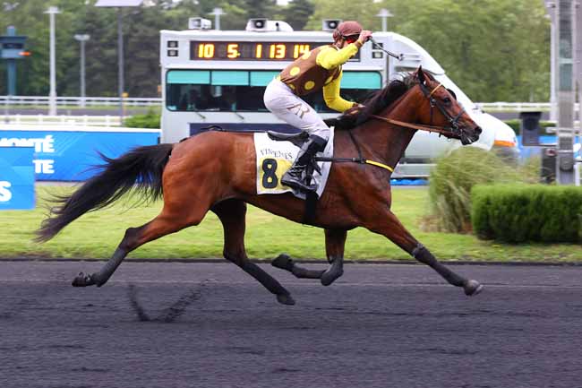 Photo d'arrivée de la course pmu PRIX IDA à PARIS-VINCENNES le Mardi 19 mai 2026