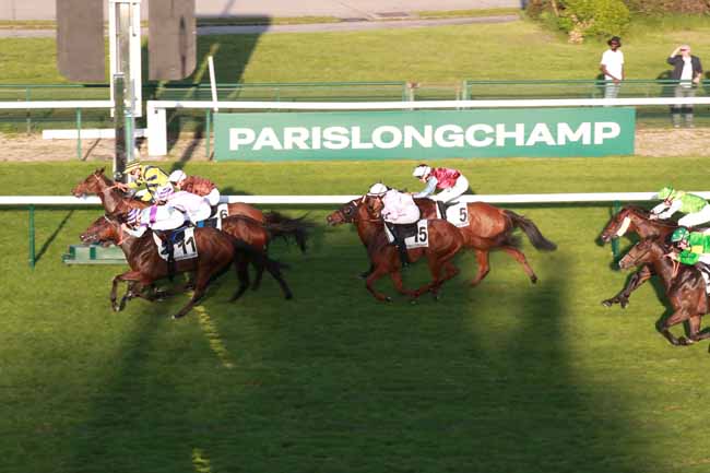 Arrivée quinté pmu PRIX DE LA VILLE DE PARIS à LONGCHAMP