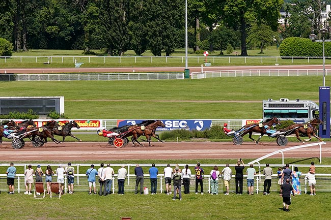Arrivée quinté pmu PRIX JOURNAL