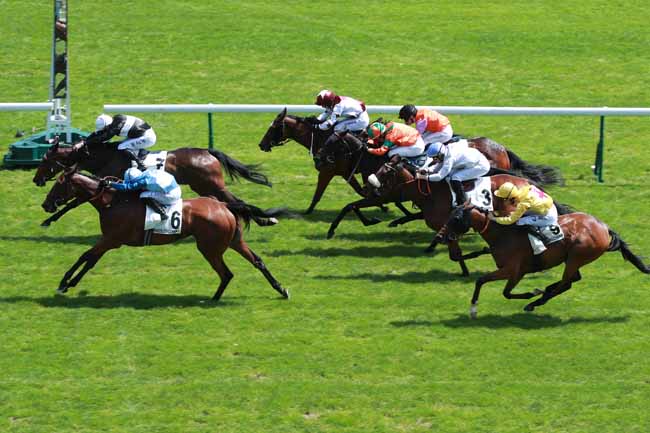 Photo d'arrivée de la course pmu PRIX DE L'HOTEL DE BRUXELLES à LONGCHAMP le Dimanche 24 mai 2026