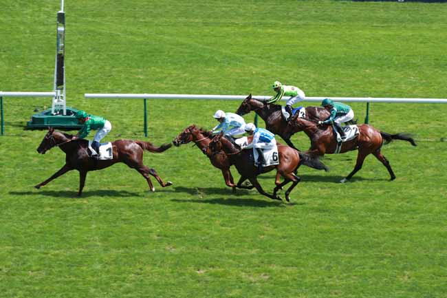 Photo d'arrivée de la course pmu PRIX HOCQUART à LONGCHAMP le Dimanche 24 mai 2026