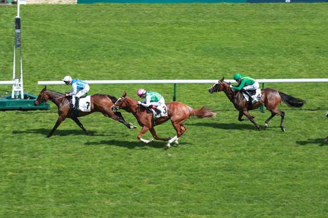 Photo d'arrivée de la course pmu PRIX CORRIDA à LONGCHAMP le Dimanche 24 mai 2026
