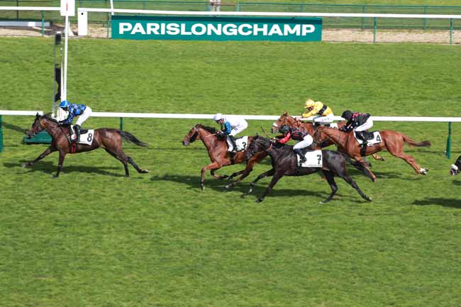 Photo d'arrivée de la course pmu PRIX DE LA RUE CREMIEUX à LONGCHAMP le Dimanche 24 mai 2026