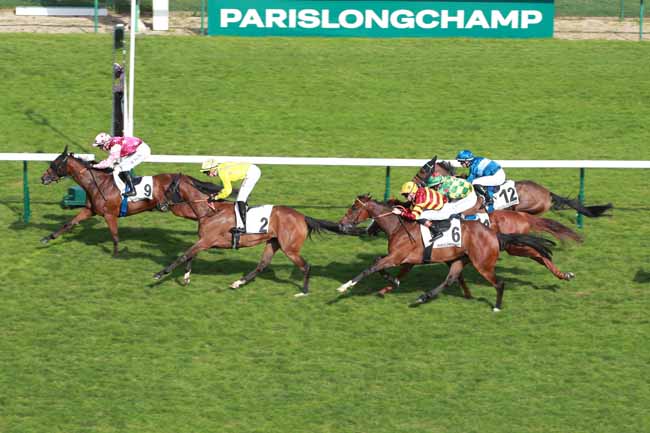 Photo d'arrivée de la course pmu PRIX DE LA RUE DU CHAT QUI PECHE à LONGCHAMP le Dimanche 24 mai 2026