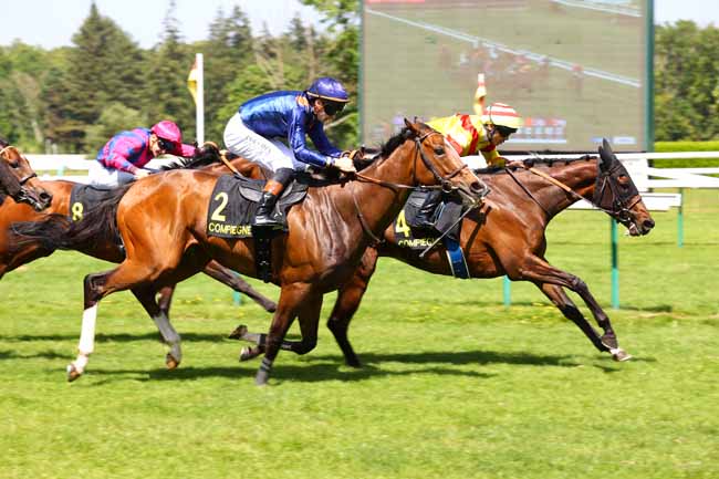 Arrivée quinté pmu PRIX DES HAUTS-DE-FRANCE à COMPIEGNE