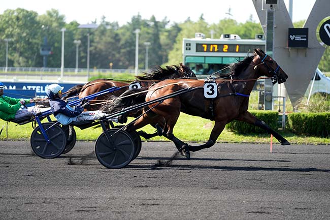 Photo d'arrivée de la course pmu PRIX BUDROSA à PARIS-VINCENNES le Mardi 26 mai 2026