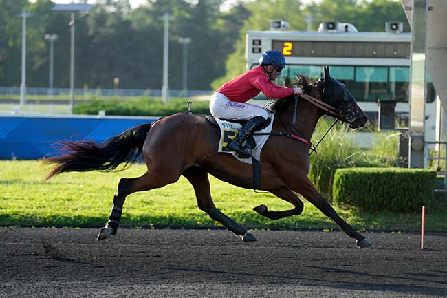 Photo d'arrivée de la course pmu PRIX SERPENTIS à PARIS-VINCENNES le Mardi 26 mai 2026