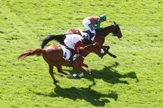 Photo d'arrivée de la course pmu PRIX BOIS ROUAUD à AUTEUIL le Mardi 26 mai 2026