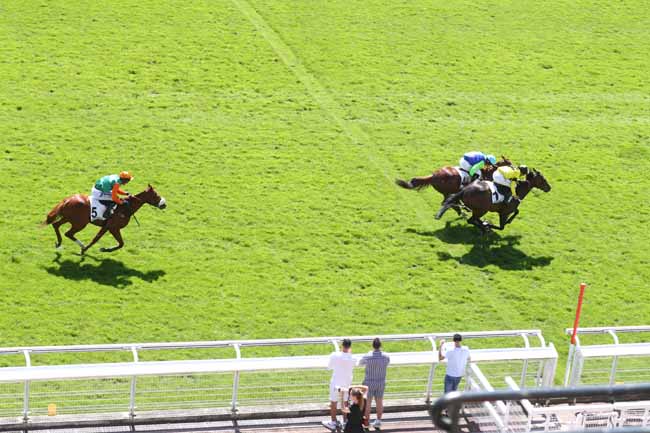 Photo d'arrivée de la course pmu PRIX ROCKING CHAIR à AUTEUIL le Mardi 26 mai 2026