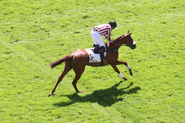 Photo d'arrivée de la course pmu PRIX GOPAL (CHAMPIONNAT DES APPRENTIS & JEUNES JOCKEYS) à AUTEUIL le Mardi 26 mai 2026