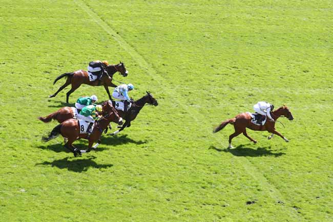 Photo d'arrivée de la course pmu PRIX CHRISTIAN DE TREDERN à AUTEUIL le Mardi 26 mai 2026