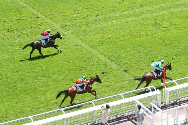 Photo d'arrivée de la course pmu PRIX DE LA MUETTE à AUTEUIL le Mardi 26 mai 2026