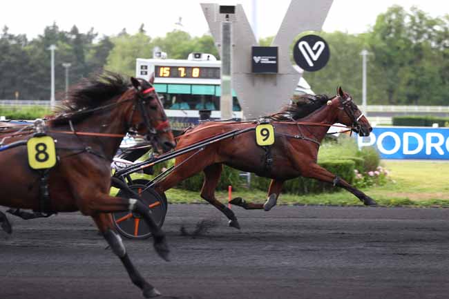 Arrivée quinté pmu PRIX DE CLAIREFONTAINE à PARIS-VINCENNES