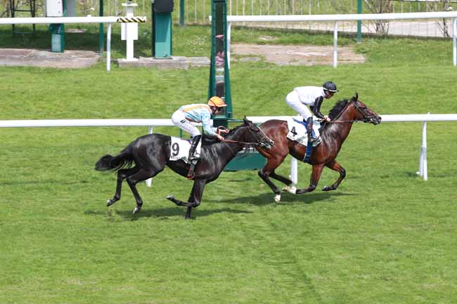 Photo d'arrivée de la course pmu PRIX PRINCE CHEVALIER à SAINT CLOUD le Vendredi 29 mai 2026