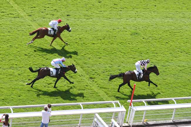 Photo d'arrivée de la course pmu PRIX STANLEY à AUTEUIL le Samedi 30 mai 2026