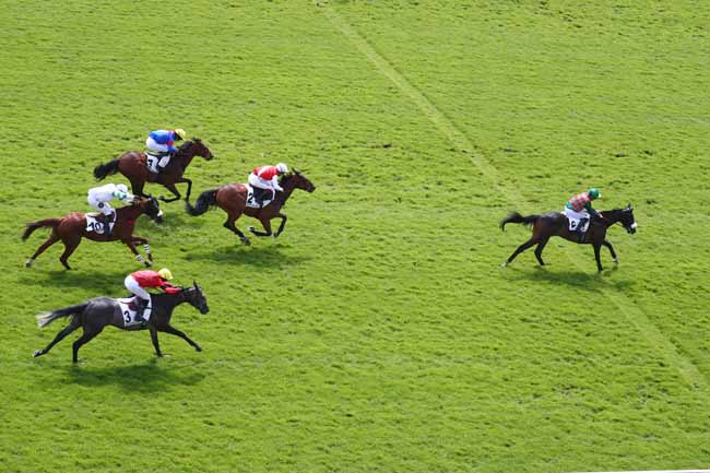 Photo d'arrivée de la course pmu PRIX QUESTARABAD (GROUPE III) à AUTEUIL le Samedi 30 mai 2026
