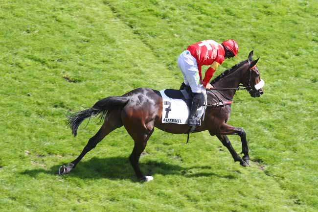 Arrivée quinté pmu PRIX HARDATIT à AUTEUIL