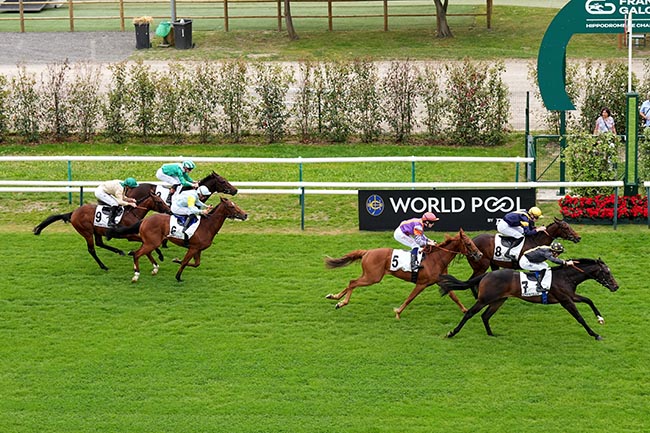 Photo d'arrivée de la course pmu PRIX D'ORGEMONT à CHANTILLY le Dimanche 31 mai 2026