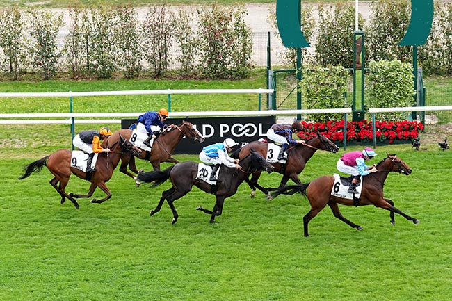Photo d'arrivée de la course pmu PRIX MARCHAND D'OR à CHANTILLY le Dimanche 31 mai 2026