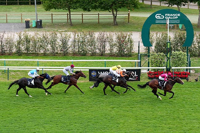 Arrivée quinté pmu PRIX DU GROS-CHENE - WORLD POOL BY PMU à CHANTILLY
