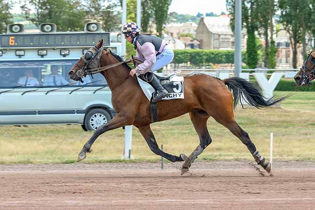 Photo d'arrivée de la course pmu PRIX DE BILLEZOIS à VICHY le Lundi 1 juin 2026