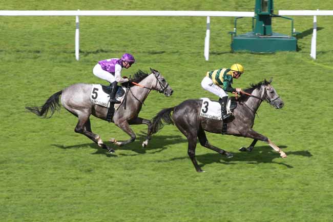 Photo d'arrivée de la course pmu PRIX DE GRIGNON à SAINT CLOUD le Mardi 2 juin 2026
