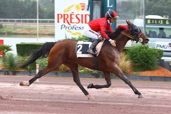Photo d'arrivée de la course pmu PRIX HENRI DESMONTILS - PRIX PMU 