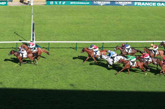 Photo d'arrivée de la course pmu PRIX DU PETIT MONTROUGE à LONGCHAMP le Jeudi 4 juin 2026
