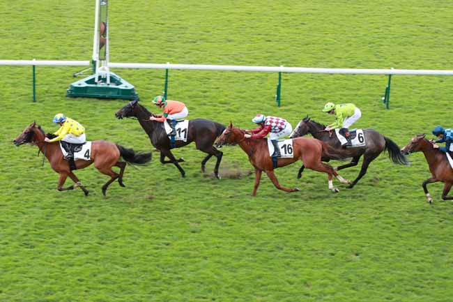 Photo d'arrivée de la course pmu PRIX DU PARC DE MONTSOURIS à LONGCHAMP le Jeudi 4 juin 2026