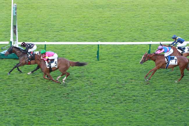 Photo d'arrivée de la course pmu PRIX DE L'HOTEL D'HAUTERIVE à LONGCHAMP le Jeudi 4 juin 2026