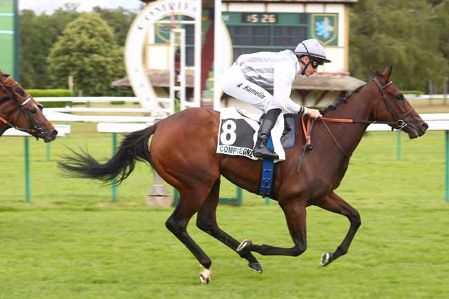 Photo d'arrivée de la course pmu PRIX D'AIGUISY à COMPIEGNE le Vendredi 5 juin 2026