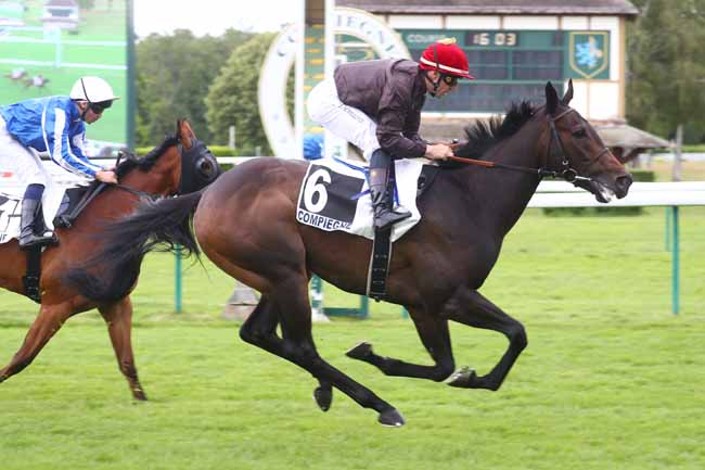 Photo d'arrivée de la course pmu PRIX ECTOT à COMPIEGNE le Vendredi 5 juin 2026