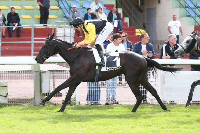 Photo d'arrivée de la course pmu PRIX DE L'IMPERATRICE MARIE-LOUISE à COMPIEGNE le Vendredi 5 juin 2026