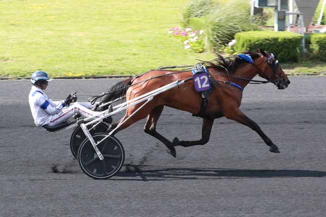 Photo d'arrivée de la course pmu PRIX GUY LE GONIDEC à PARIS-VINCENNES le Samedi 6 juin 2026