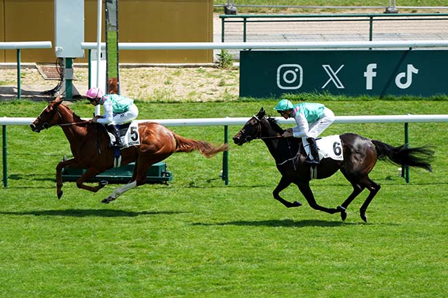 Photo d'arrivée de la course pmu PRIX MELISANDE à LONGCHAMP le Dimanche 7 juin 2026