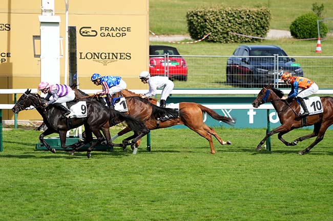 Photo d'arrivée de la course pmu PRIX DE LA DEFENSE à LONGCHAMP le Dimanche 7 juin 2026