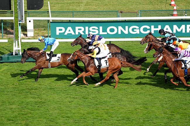 Photo d'arrivée de la course pmu PRIX DE L'ILE SAINT-LOUIS à LONGCHAMP le Dimanche 7 juin 2026