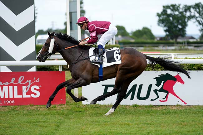 Photo d'arrivée de la course pmu PRIX DES ANGEVINS à ANGERS le Lundi 8 juin 2026