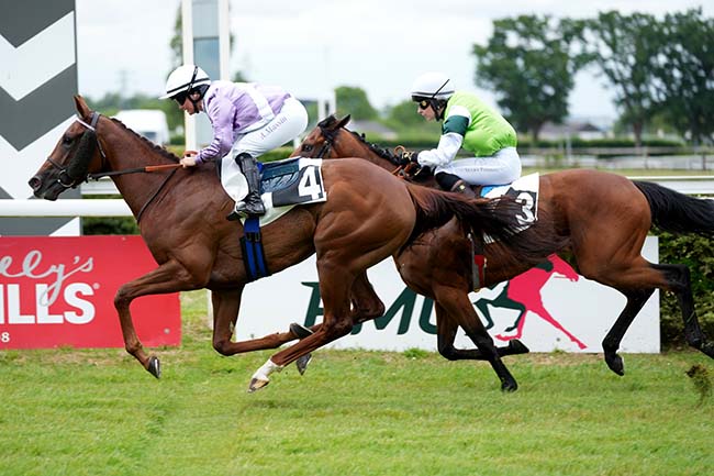 Photo d'arrivée de la course pmu PRIX DE PUYCHARIC à ANGERS le Lundi 8 juin 2026