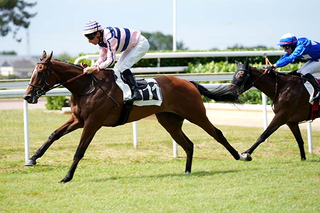 Photo d'arrivée de la course pmu PRIX DAVID D'ANGERS à ANGERS le Lundi 8 juin 2026