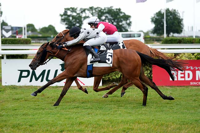 Photo d'arrivée de la course pmu PRIX FRANCIS CHENE à ANGERS le Lundi 8 juin 2026
