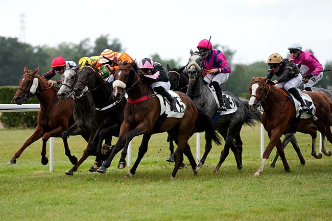 Arrivée quinté pmu HANDICAP D'ANGERS LOIRE METROPOLE à ANGERS